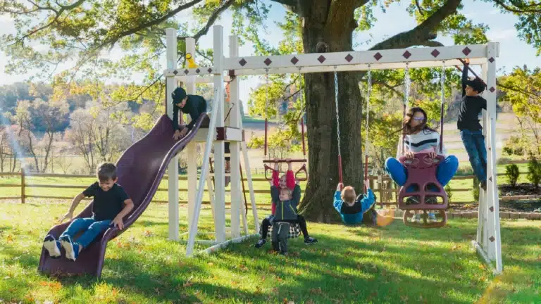 All-Swing-Sets_1.-Honey-Bear-Hangout-768x432-1.png